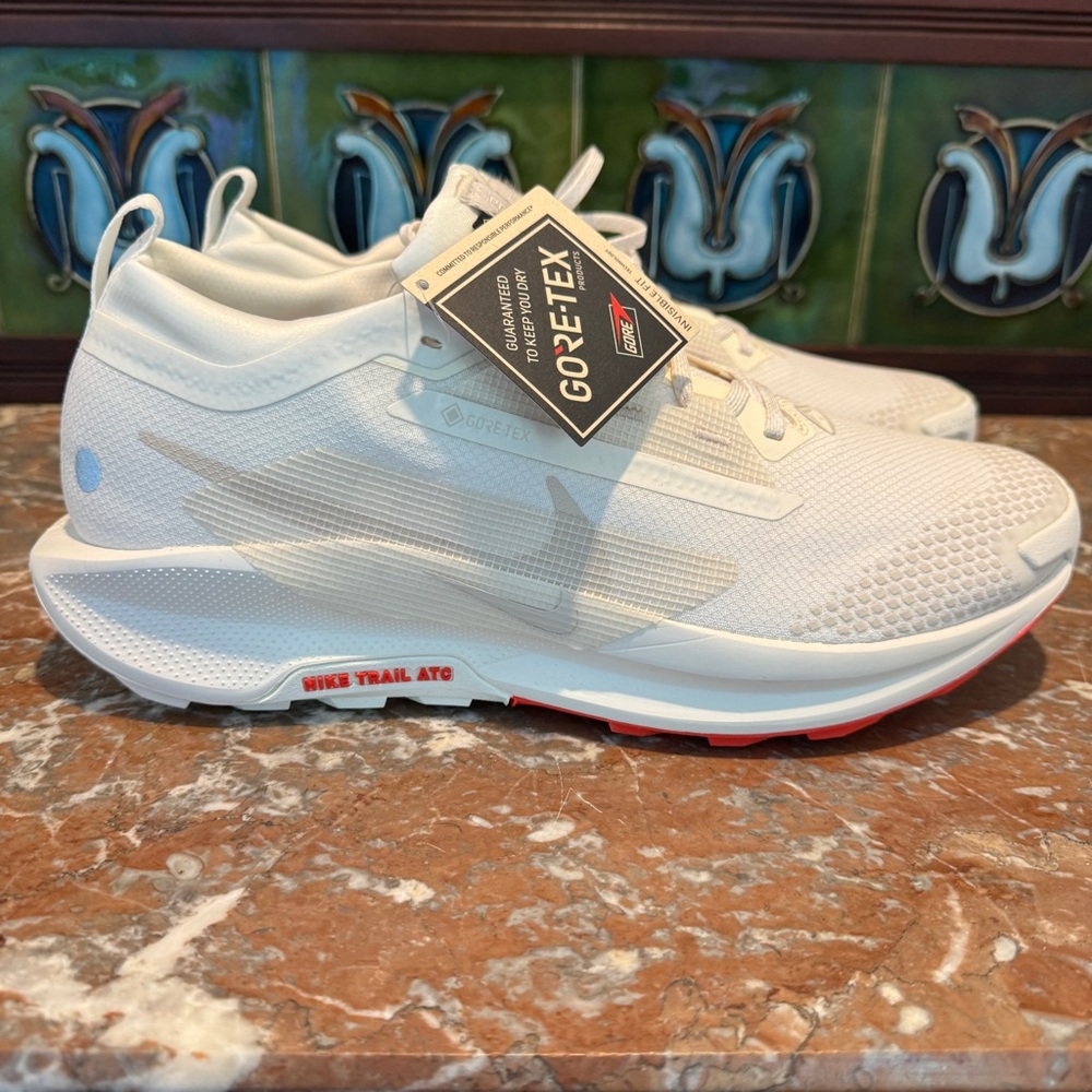 Nike Men's White Gore-Tex Trail Shoes